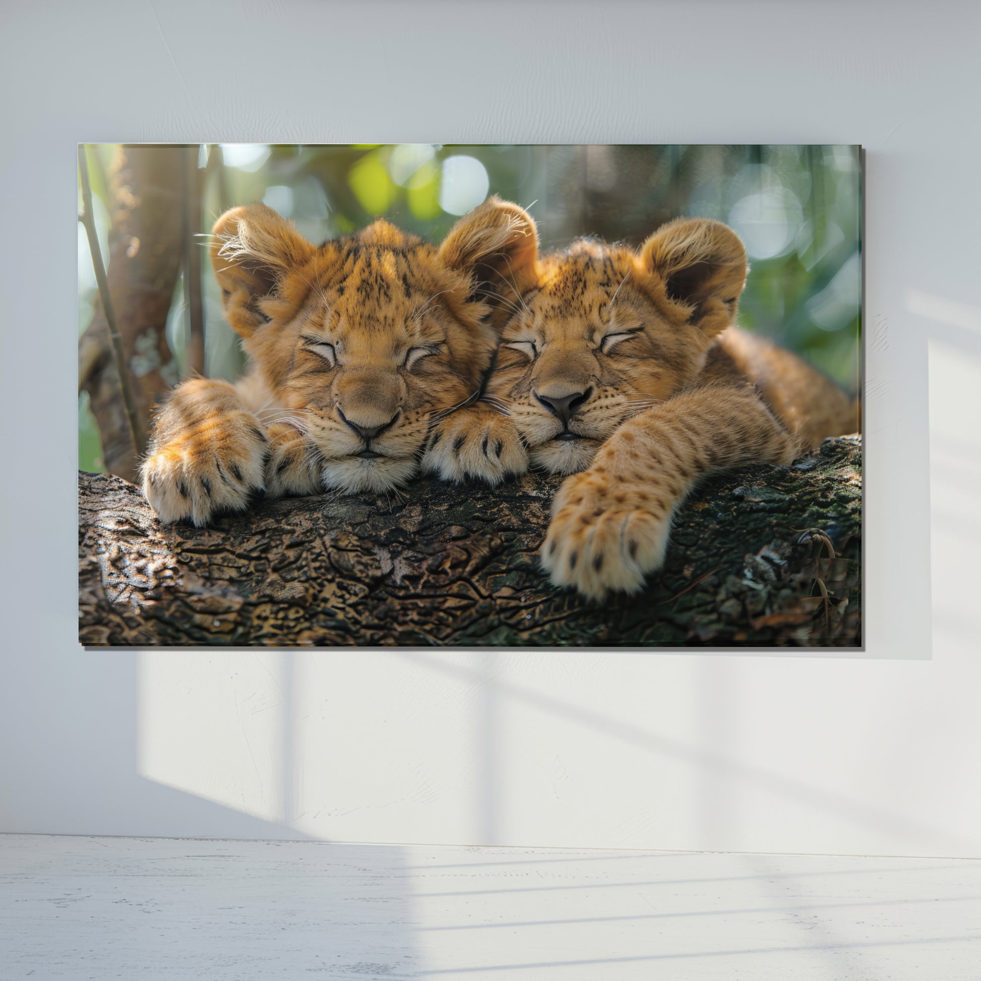Sleeping Lion Cubs Tempered Glass Wall Art – Cute Jungle Animal Print – Safari Baby Lions Art