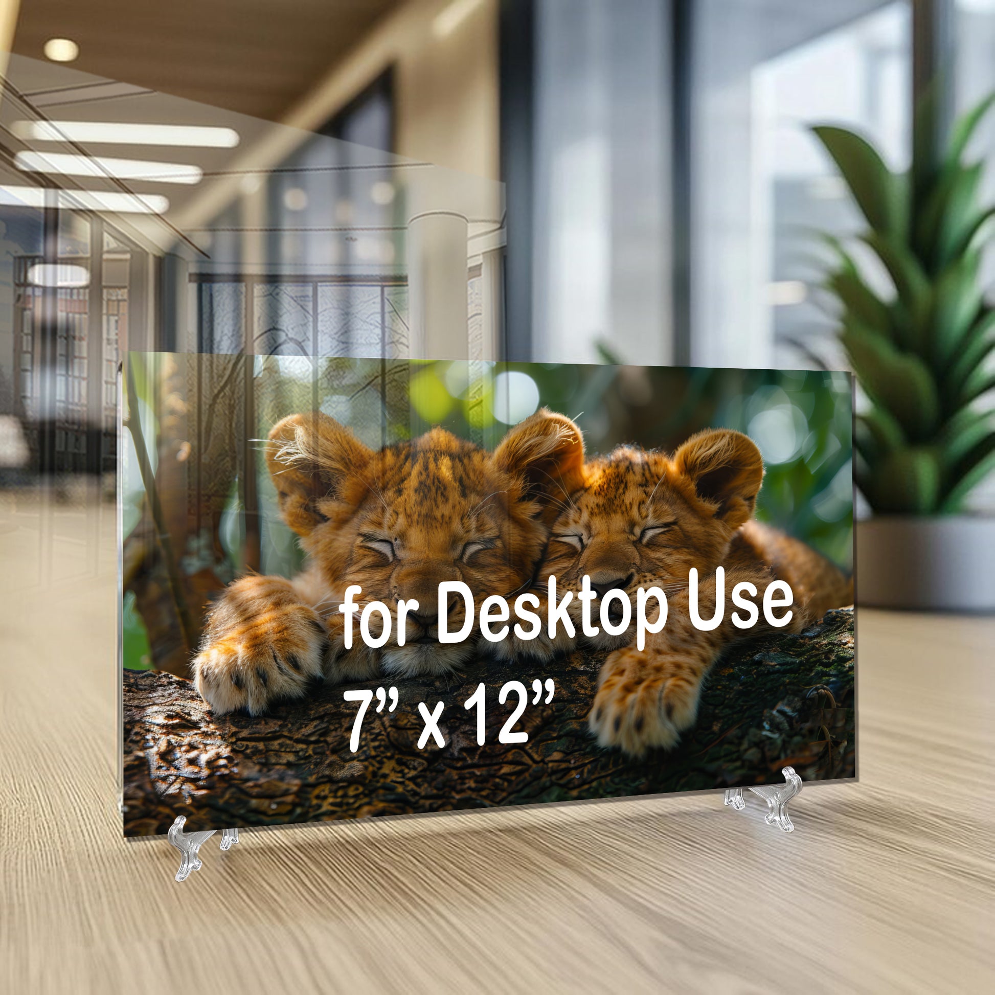 Sleeping Lion Cubs Tempered Glass Wall Art – Cute Jungle Animal Print – Safari Baby Lions Art