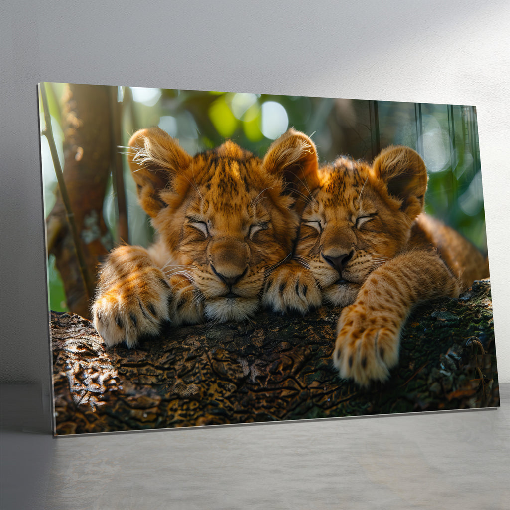 Sleeping Lion Cubs Tempered Glass Wall Art – Cute Jungle Animal Print – Safari Baby Lions Art