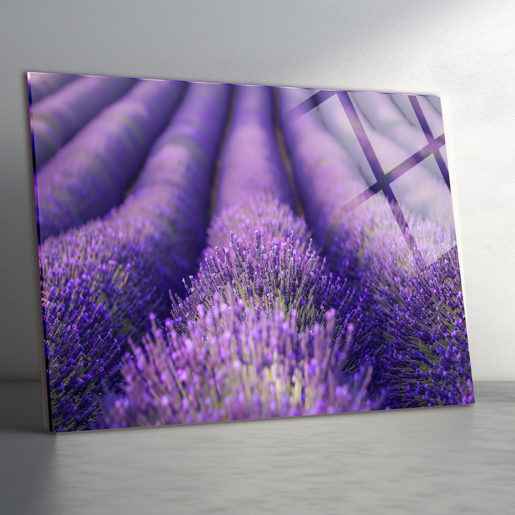 Temperli Cam Duvar Tablosu  Lavantalar