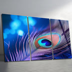 3 Parçalı Temperli Cam Duvar Tablosu Tavuz Kuşu Tüyü