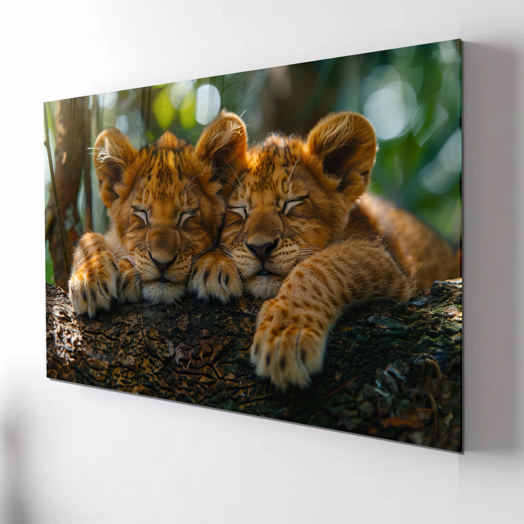 Sleeping Lion Cubs Tempered Glass Wall Art – Cute Jungle Animal Print – Safari Baby Lions Art