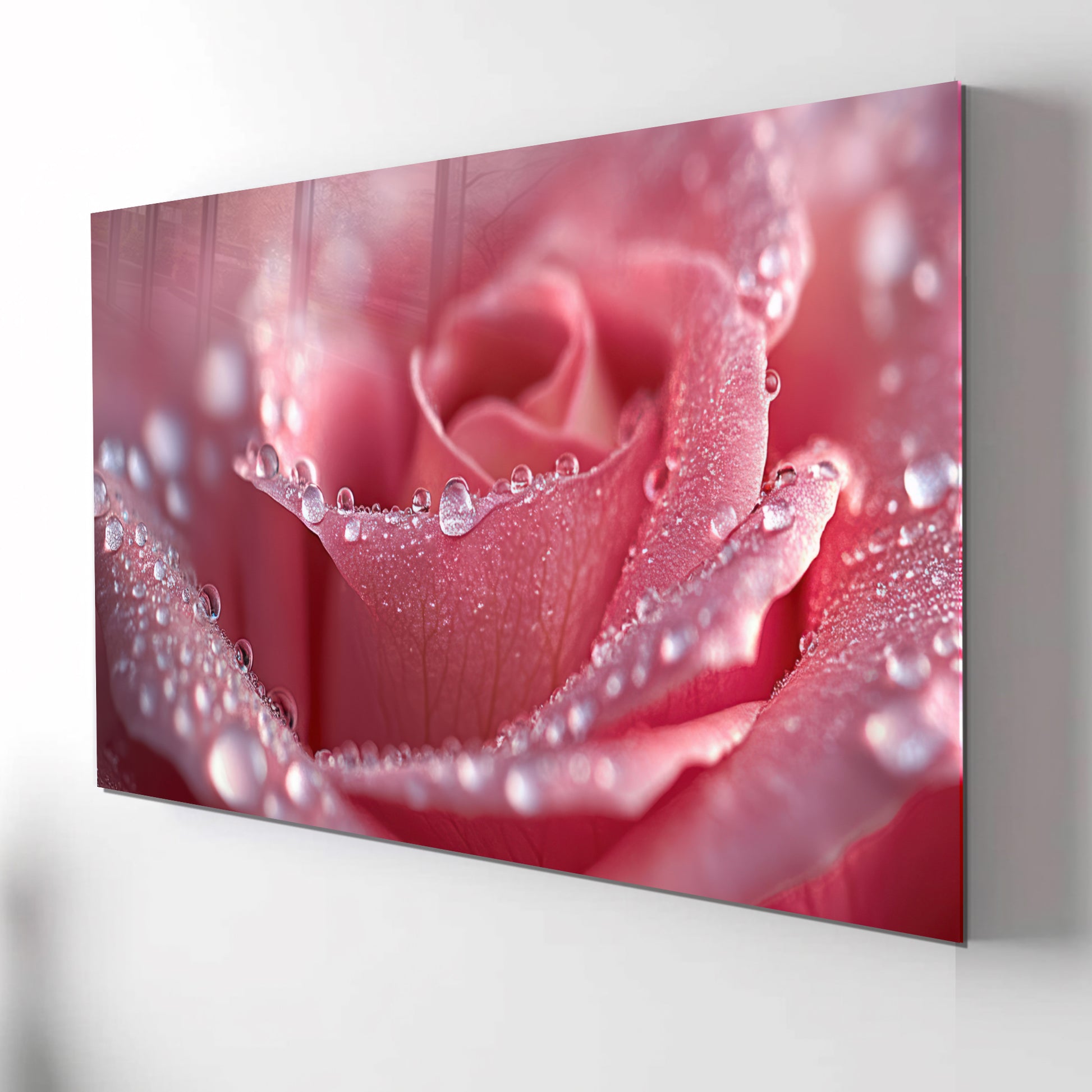 Pink Rose Macro Wall Art – Dew Drop Floral Tempered Glass Panel