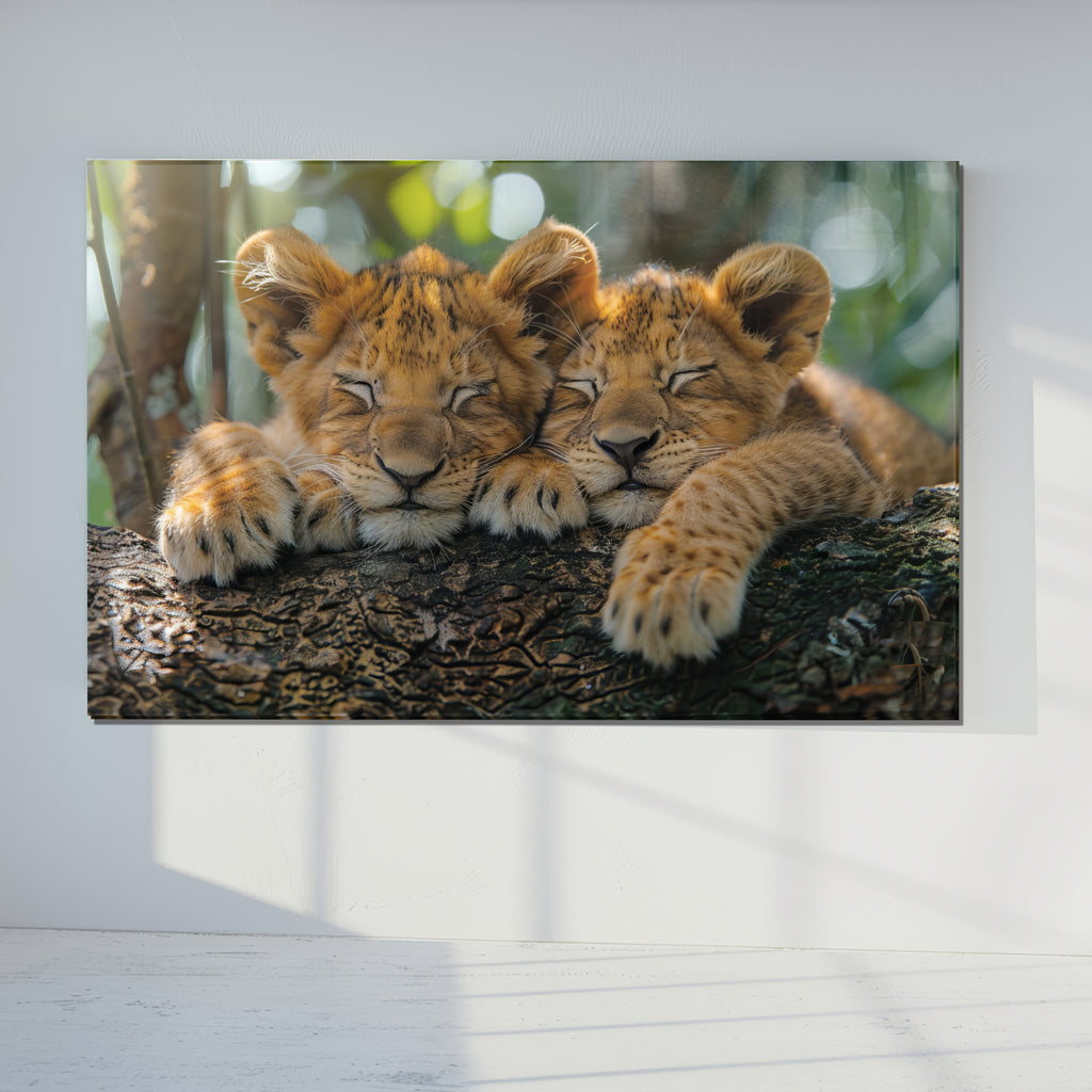 Sleeping Lion Cubs Tempered Glass Wall Art – Cute Jungle Animal Print – Safari Baby Lions Art