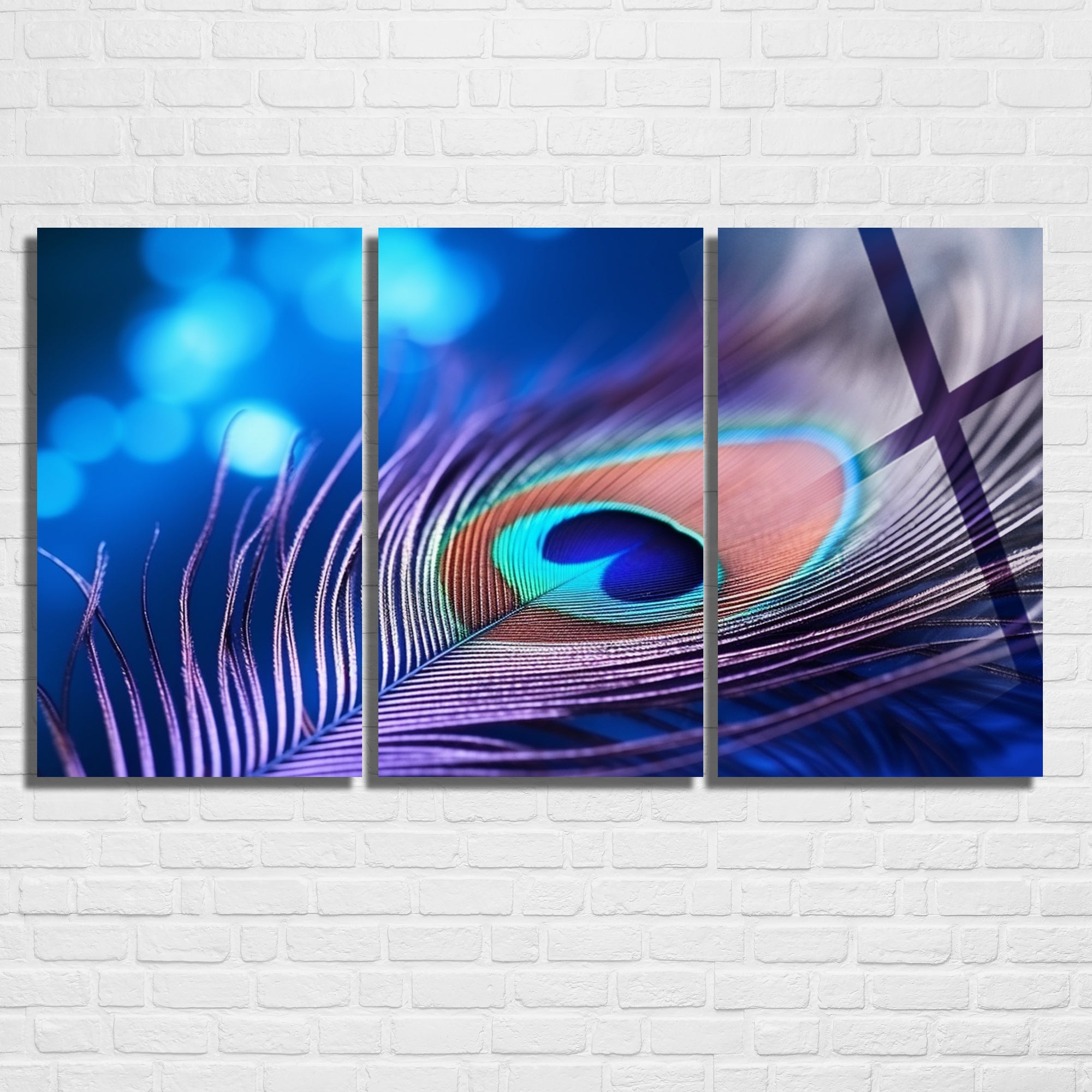 3 Parçalı Temperli Cam Duvar Tablosu Tavuz Kuşu Tüyü