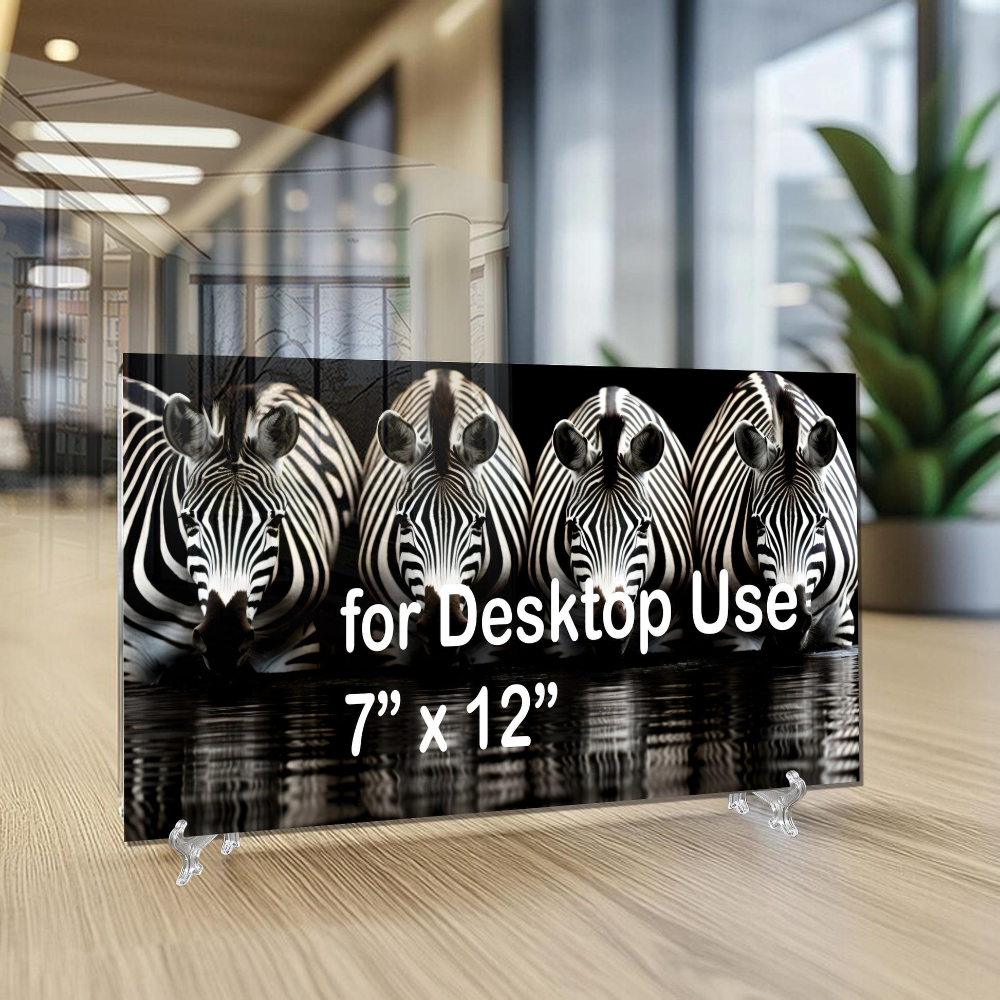 Zebra Reflections Wall Art – Monochrome Wildlife Print on Tempered Glass