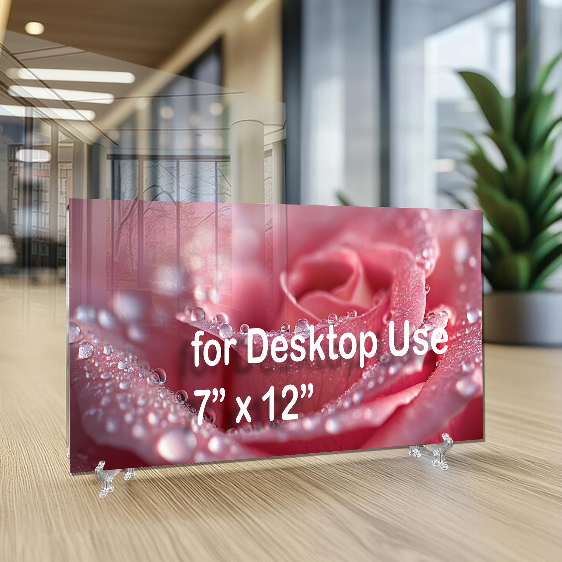 Pink Rose Macro Wall Art – Dew Drop Floral Tempered Glass Panel