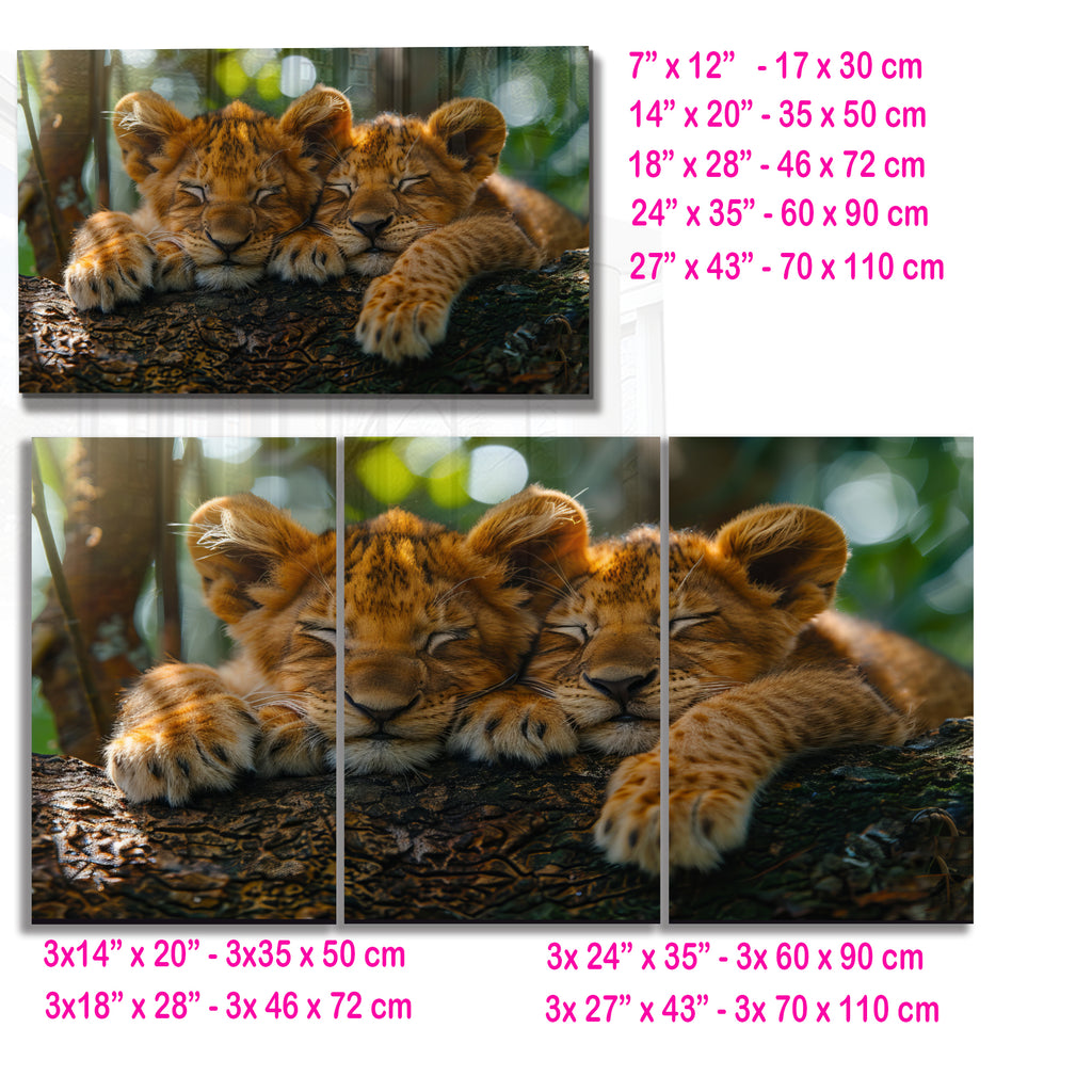 Sleeping Lion Cubs Tempered Glass Wall Art – Cute Jungle Animal Print – Safari Baby Lions Art