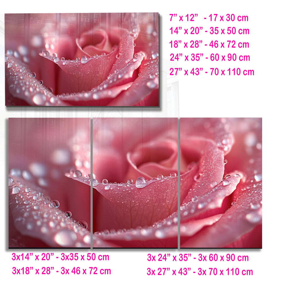 Pink Rose Macro Wall Art – Dew Drop Floral Tempered Glass Panel