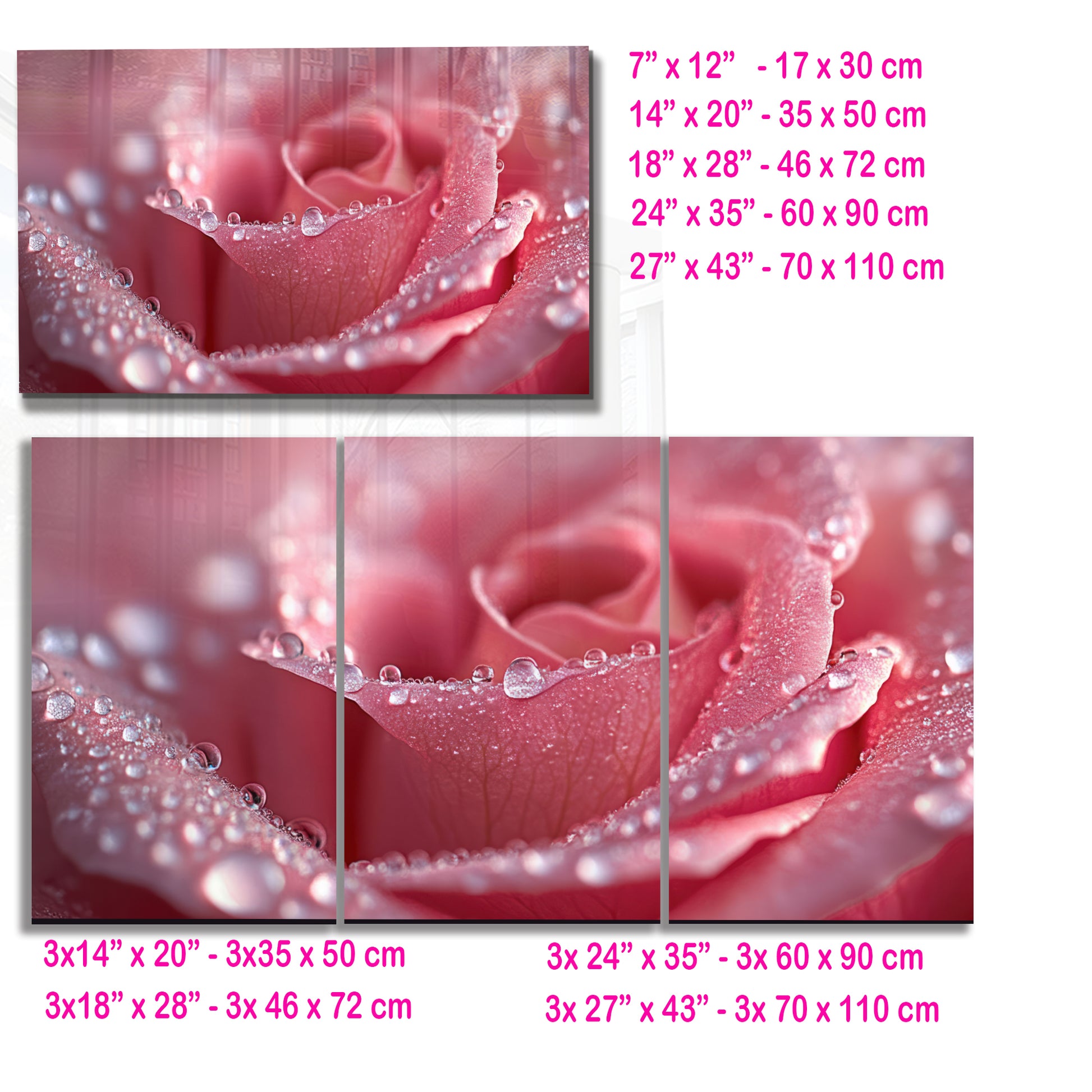 Pink Rose Macro Wall Art – Dew Drop Floral Tempered Glass Panel