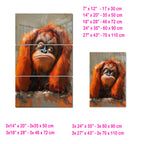 Turuncu Orangutan Temalı Temperli Cam Tablo – Modern Sanat & Mizahi Dekor