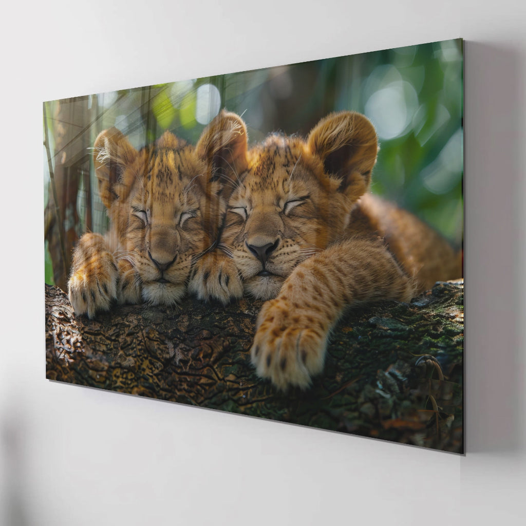 Sleeping Lion Cubs Tempered Glass Wall Art – Cute Jungle Animal Print – Safari Baby Lions Art